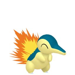 cyndaquil evolve|is cyndaquil in pokemon shield.